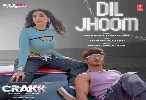 Dil Jhoom - Crakk