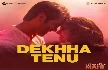 Dekhha Tenu - Mr And Mrs Mahi